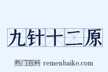 九针十二原是什么意思的图片